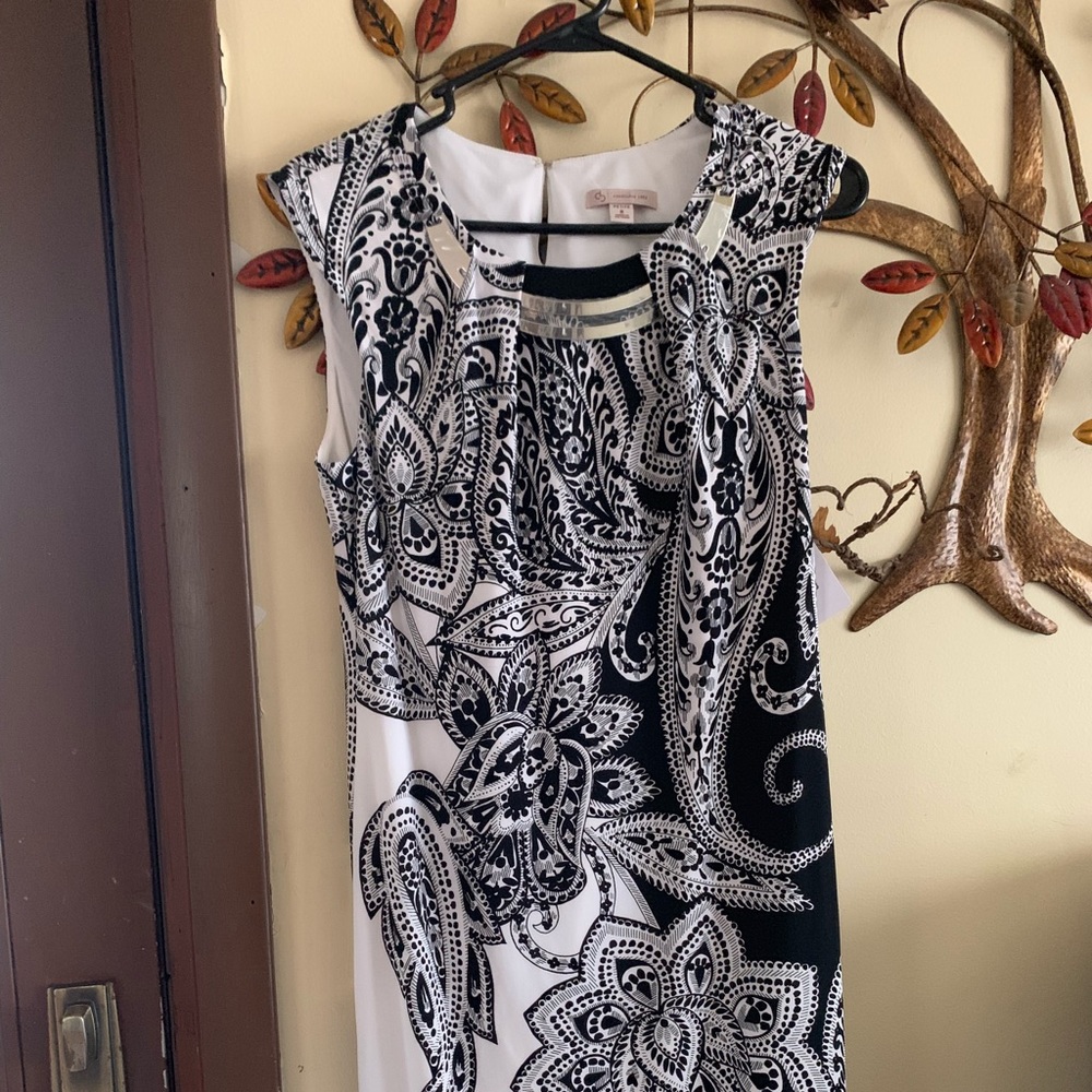 “Dress Barn” Paisley Dress